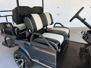 Arctic Grey Evolution Pro Plus Golf Cart Tidewater 05